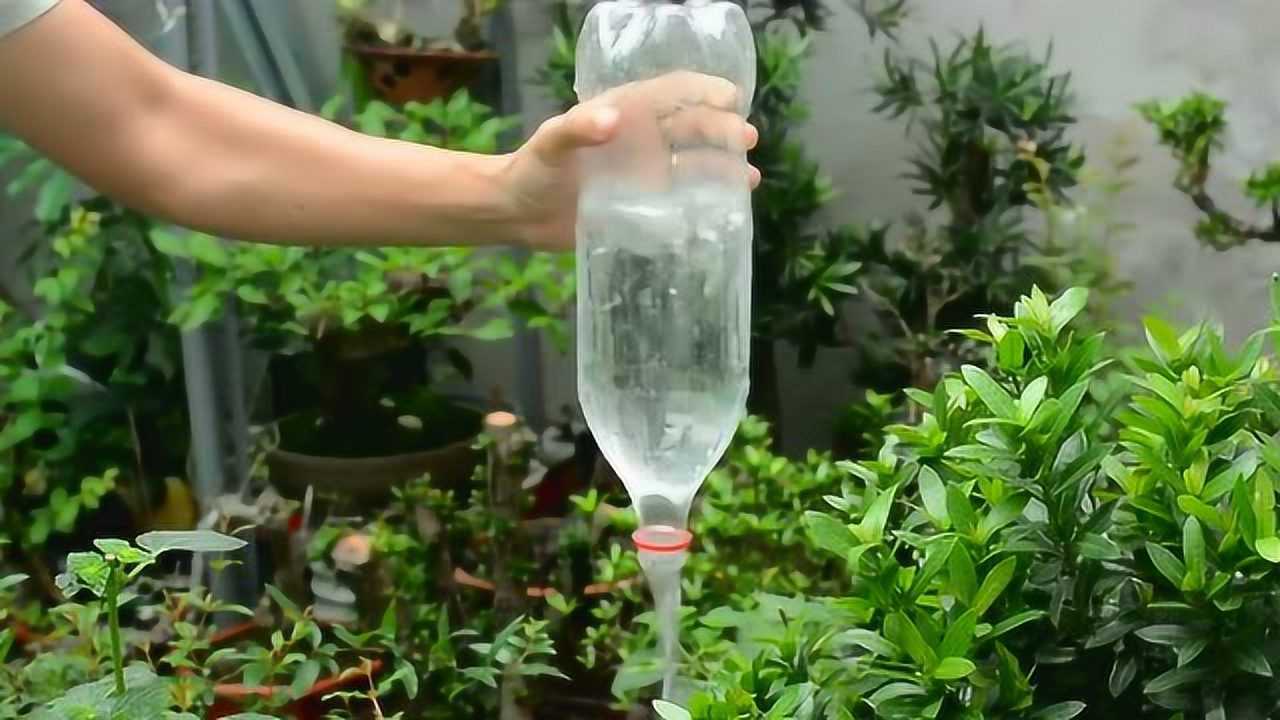科学小实验为什么瓶子能实现龙吸水化学是门高深的科学