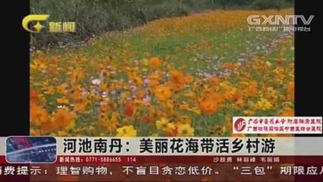 河池南丹:美丽花海带活乡村游