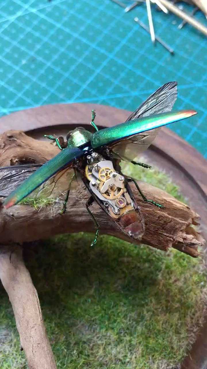 蒸汽朋克机械昆虫标本.展翅飞翔的吉丁虫