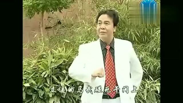 秦腔《金沙滩》孟金平演唱