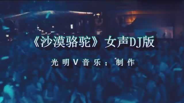 女声版的《沙漠骆驼》车载DJ超清视频 光明V音乐制作