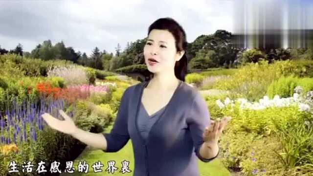 一首每个人都应该听的歌曲《感恩》陈敏老师唱得太温馨了