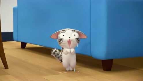 小小起司猫:小起回家被爸妈吓一跳?原来是小起的生日