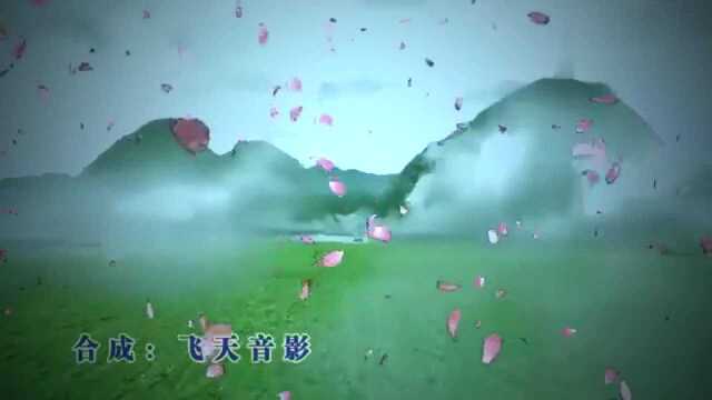 刘佳《落花雨》