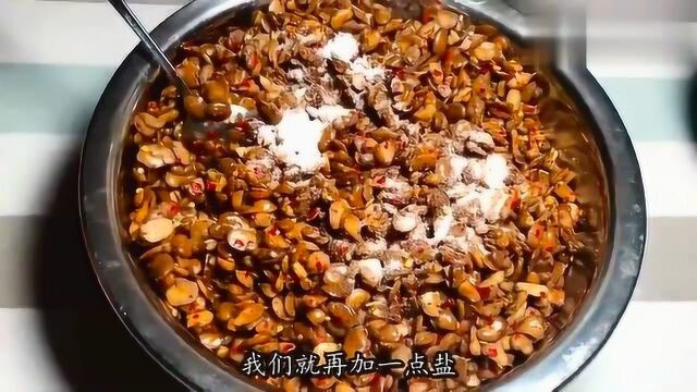 喜欢吃豆瓣酱却不会做?现在制作豆瓣酱教程来啦!赶紧学起来!