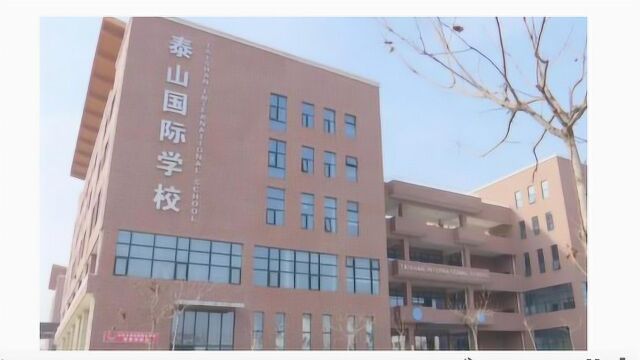 上了两年高中却还没学籍 泰山国际学校:他不是应届生