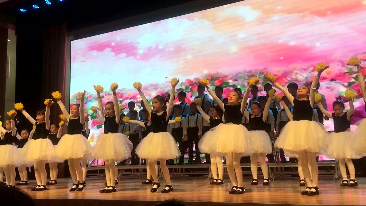 歌舞《我们是鲜花》