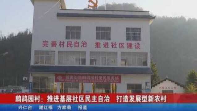 兴仁鹧鸪园村:推进基层社区民主自治 打造发展型新农村