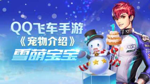 宠物介绍:冬日的小精灵之雪萌宝宝