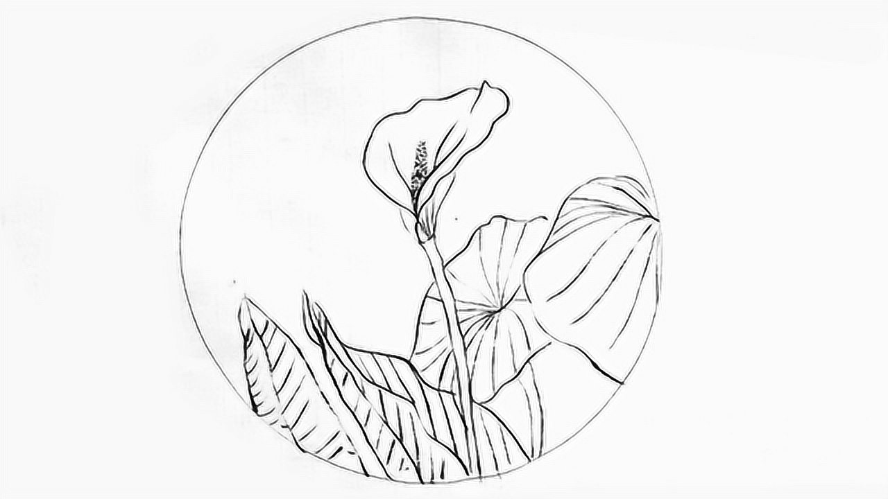 白描学习,零基础入门教程,简单易学