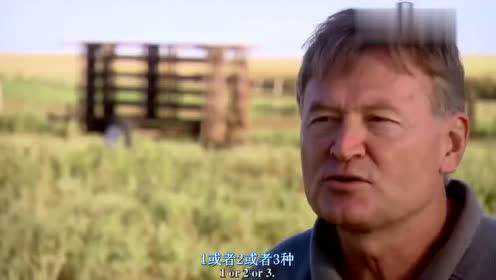 PBS纪录片:透视美国之先进农业（三）