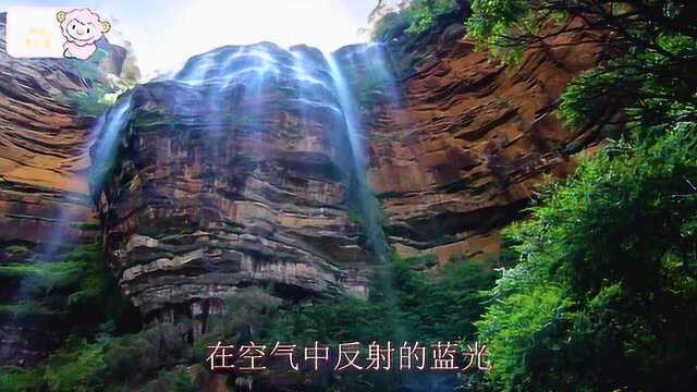 蓝山国家公园是原始丛林和热带雨林的家园,桉树是澳大利亚的国树