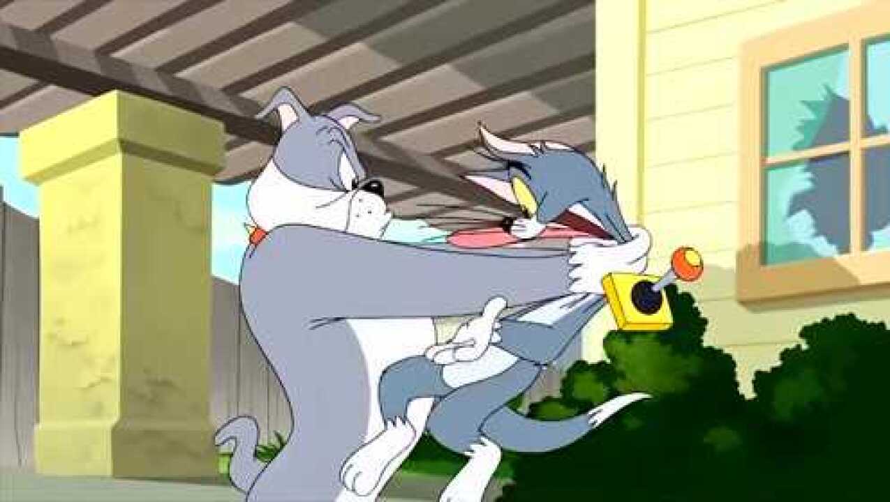 猫和老鼠猫捉老鼠狗狗在后