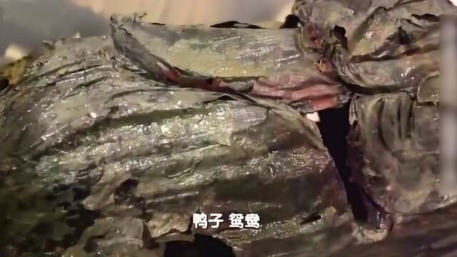 千年楚墓惊现“镇墓兽”,舌头清晰可见,用以辟邪