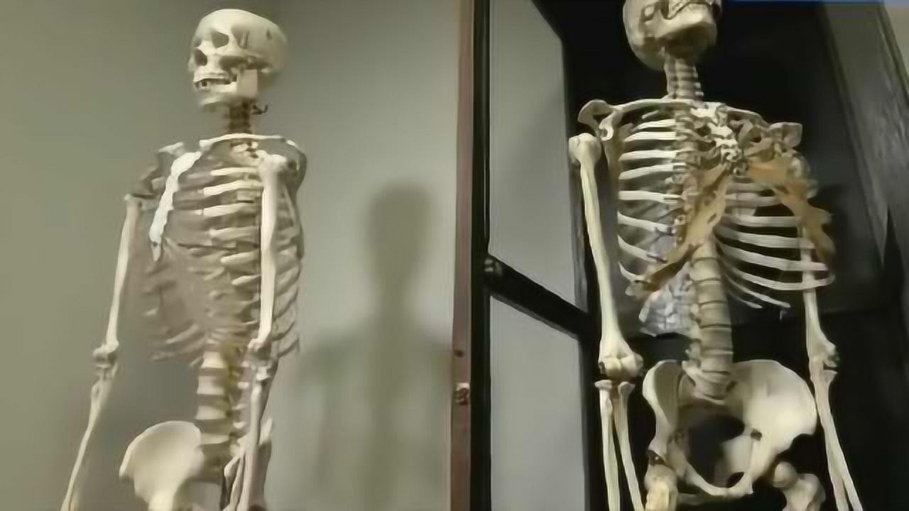 细思极恐日本高校模型是真人骨架