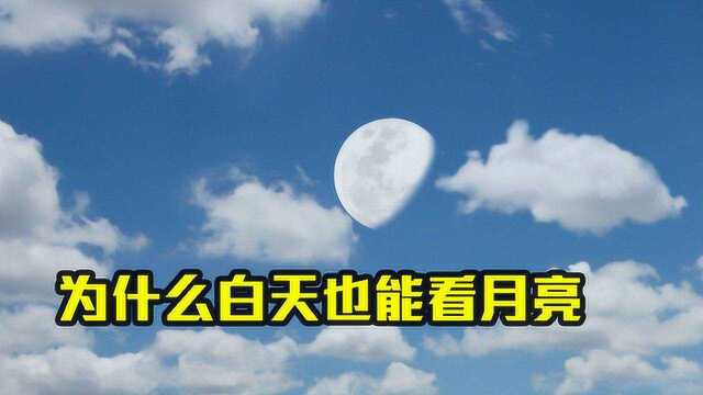 为什么白天也能看到月亮?科学家分析原因,结果或出乎意料!