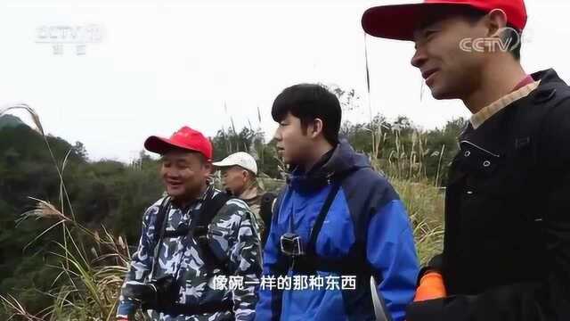 佛顶山的天坑与其他地方的不一样,里面承长方形