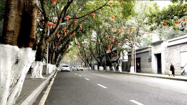 这条最美街道,见证重庆70年城市变迁,宛若夜晚天上的街市