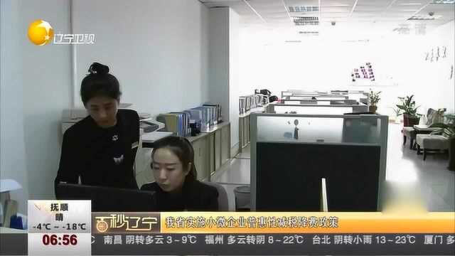 辽宁省实施小微企业普惠性减税降费政策,增强企业发展活力