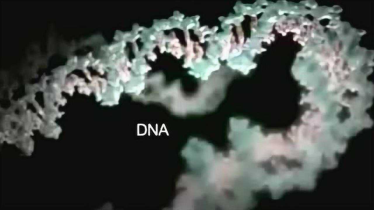 DNA的3D微观结构动画_腾讯视频
