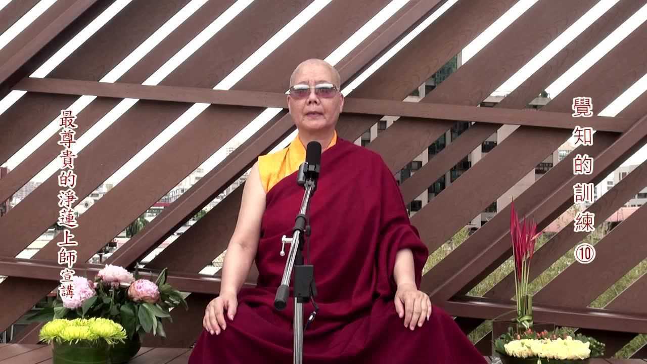觉知的训练10----净莲上师