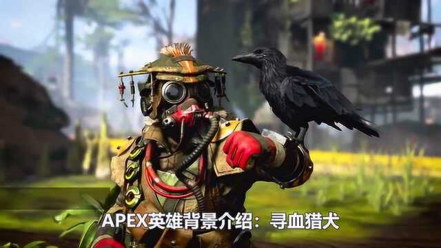 APEX英雄故事背景:寻血猎犬