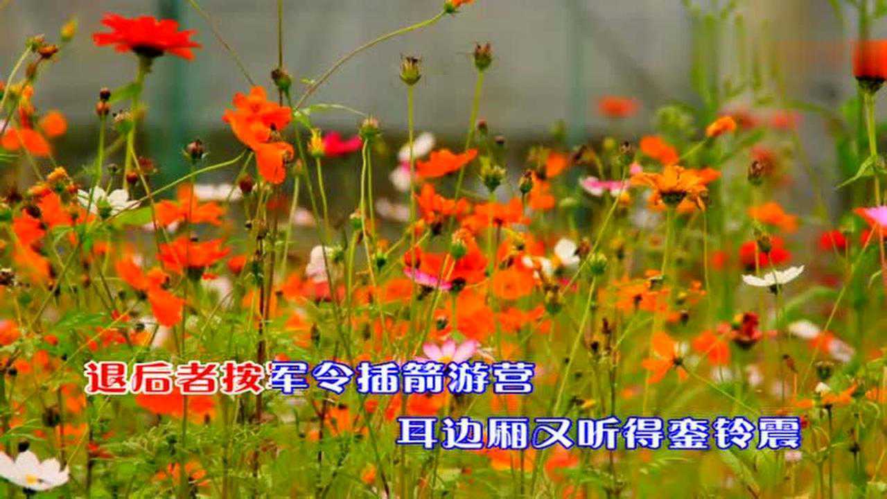 梨花颂伴奏 李胜素 高清1080p在线观看平台 腾讯视频