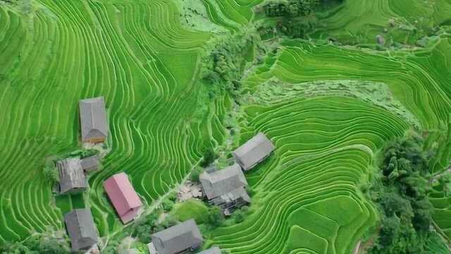 航拍中国山区,赏大美山区梯田风光美景,非常震撼!