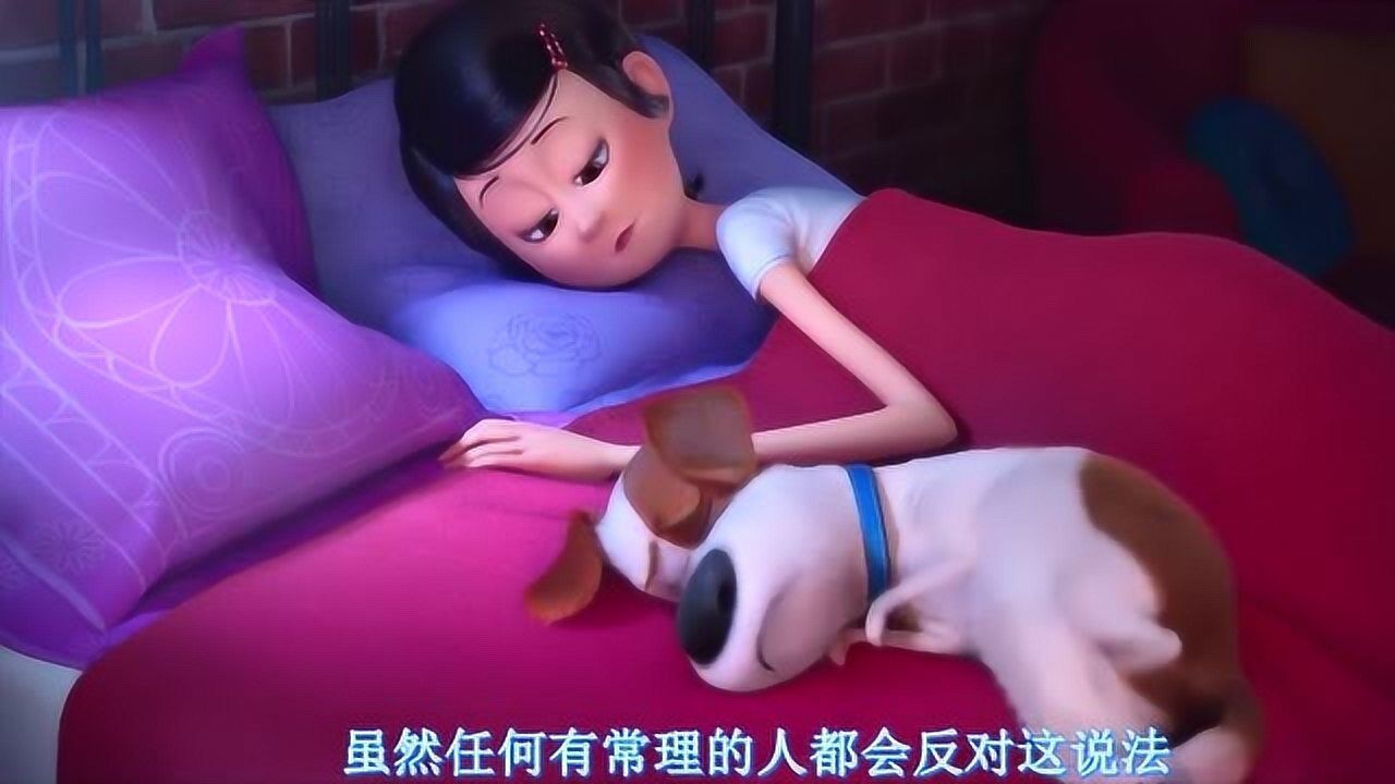 爱宠大机密主人凯蒂和狗狗麦克的生活真是灵魂伴侣