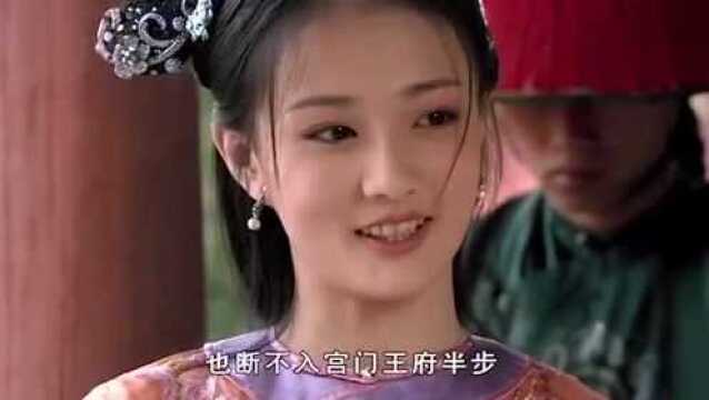 慎郡王遇贵妃嫂子的妹妹,见其性情高傲,竟另眼相看!