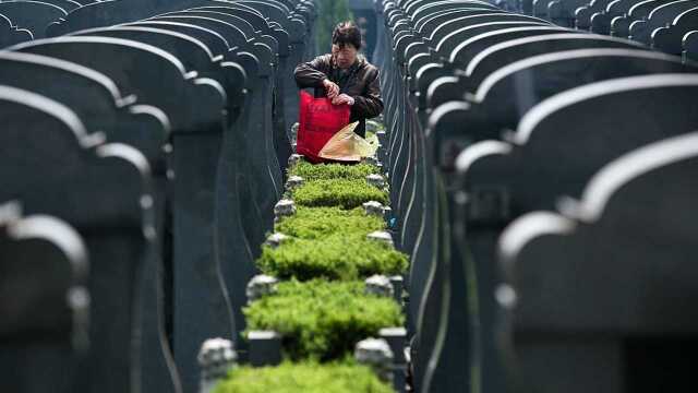 墓地暴利时代即将结束?整改新规出台了,大家再也不用花冤枉钱了