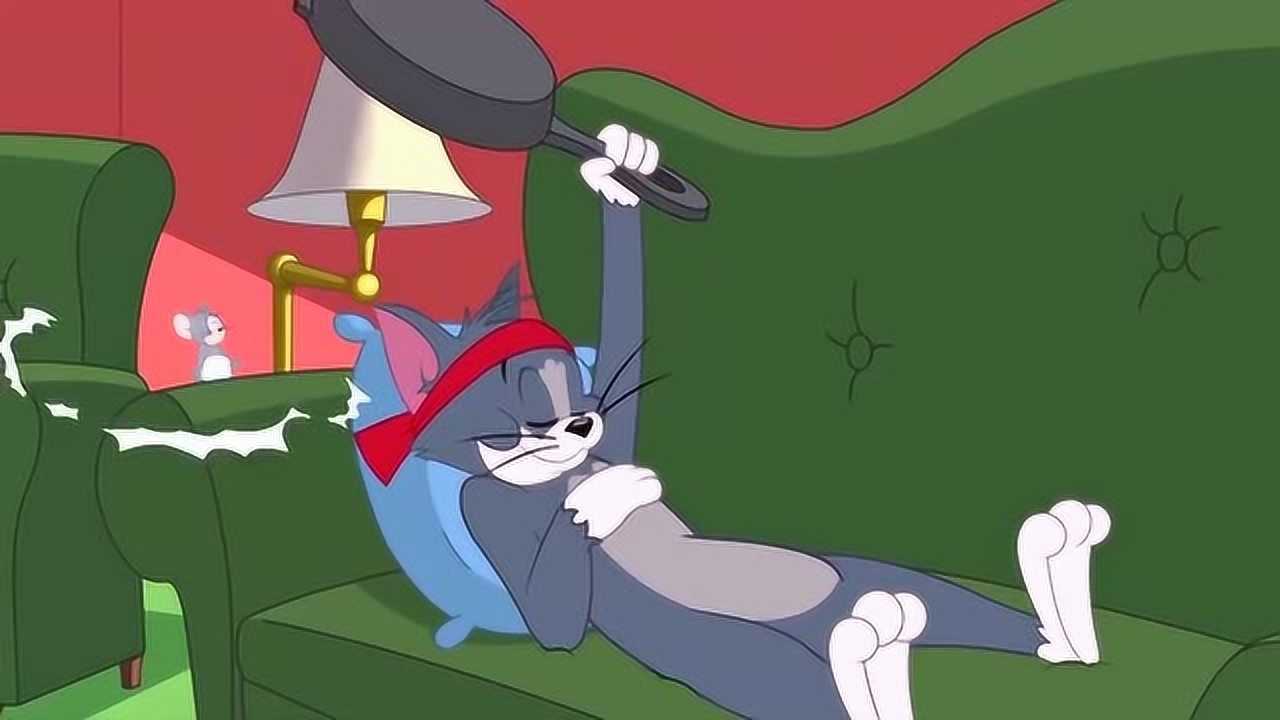新猫和老鼠功夫猫睡觉时都能挡住危险物