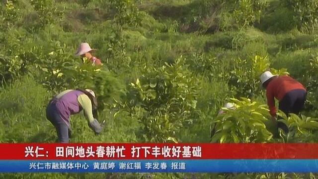 兴仁:田间地头春耕忙打下丰收好基础