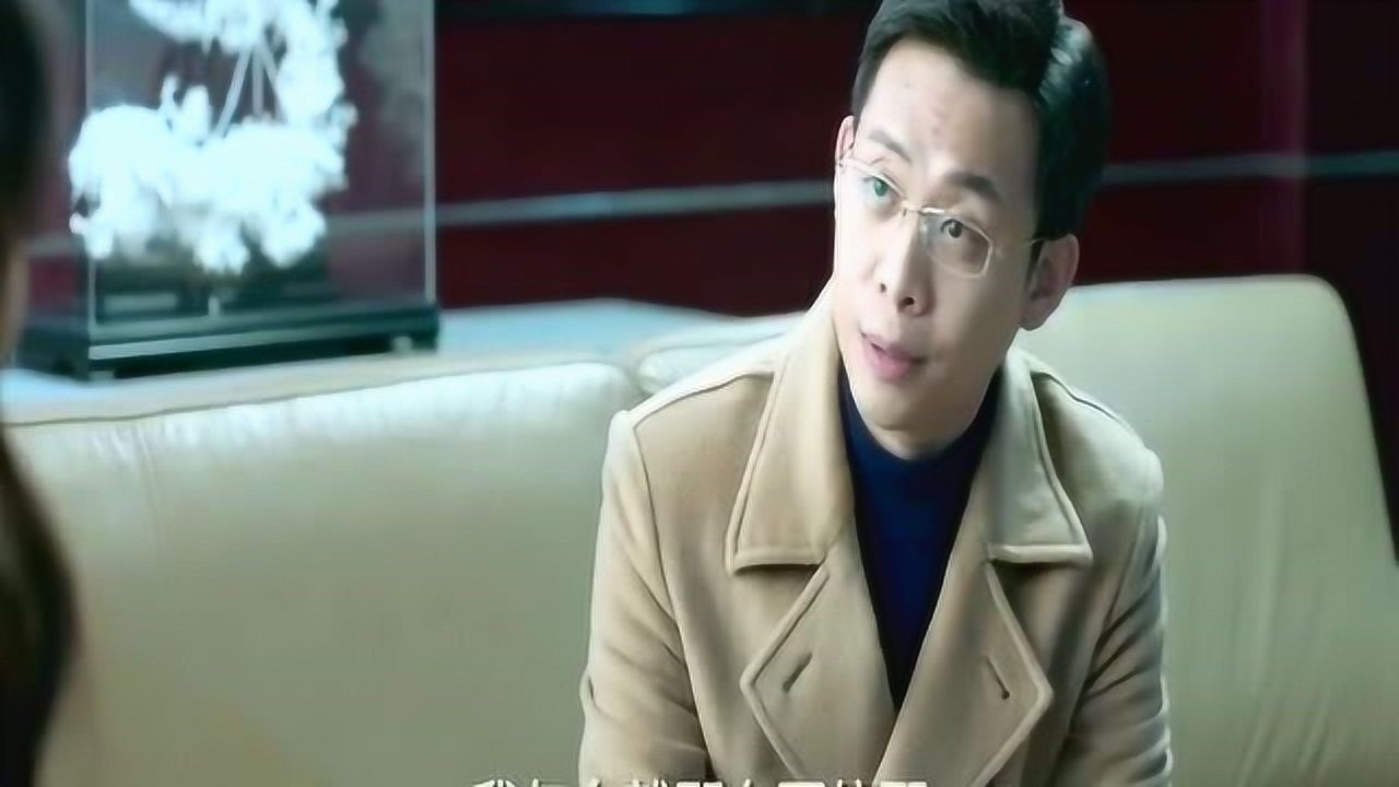 鸡毛飞上天陈江河和德国人合资办厂杨雪警告他小心鸡飞蛋打