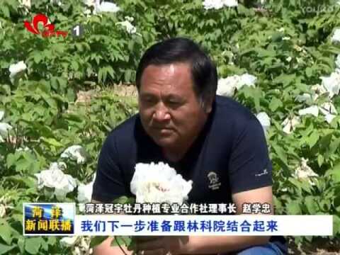 菏泽电视台专访冠宇牡丹园董事长张贵宾