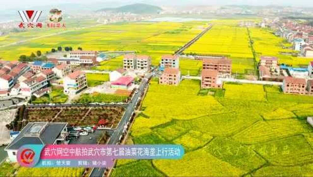 武穴网航拍2019年油菜花活动腾讯视频