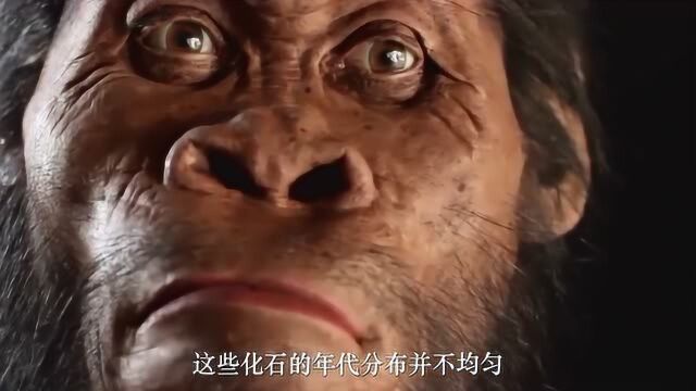 人类进化论出现13万年的断层,这段时间究竟发生了什么?