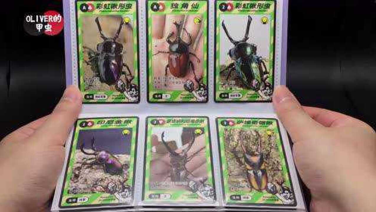 oliver的甲虫图鉴卡卡册演示视频