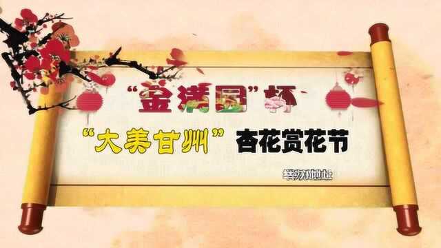 “金满园”杯“大美甘州”杏花赏花节