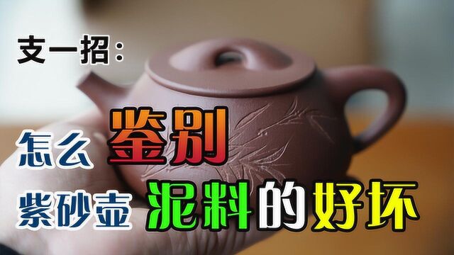 支一招:怎么鉴别紫砂壶泥料的好坏?