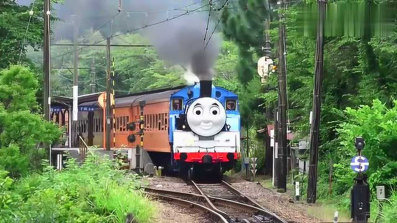 蓝色涂装的托马斯小火车,后面拉着车厢变成了观光小火车