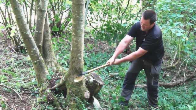 一群老爷子在一天内,用一棵树制作榫卯结构的椅子,一起来见识下