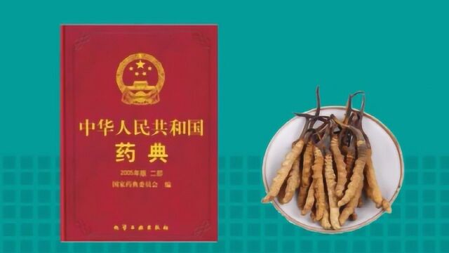 冬虫夏草怎么吃效果最好