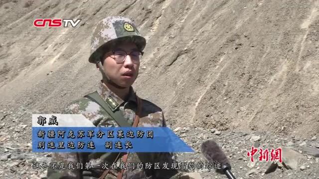 边防官兵偶遇“雪山之王”老兵:野生动物也是保护的一份子