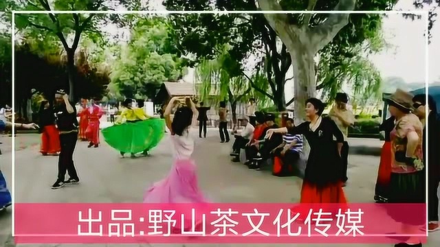 《种南瓜》种瓜得瓜,后生一起跳广场舞了