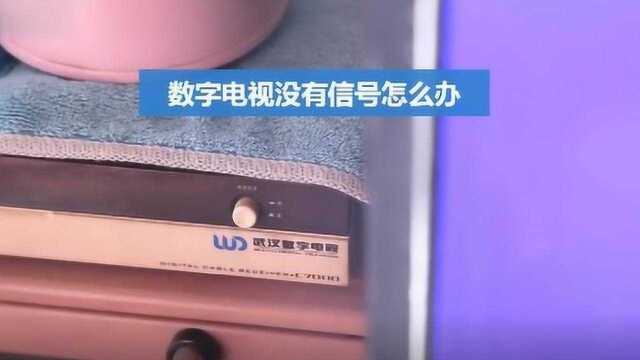 有线电视无网络信号怎么回事