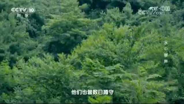 万年寺是峨眉山历史最悠久的古刹之一