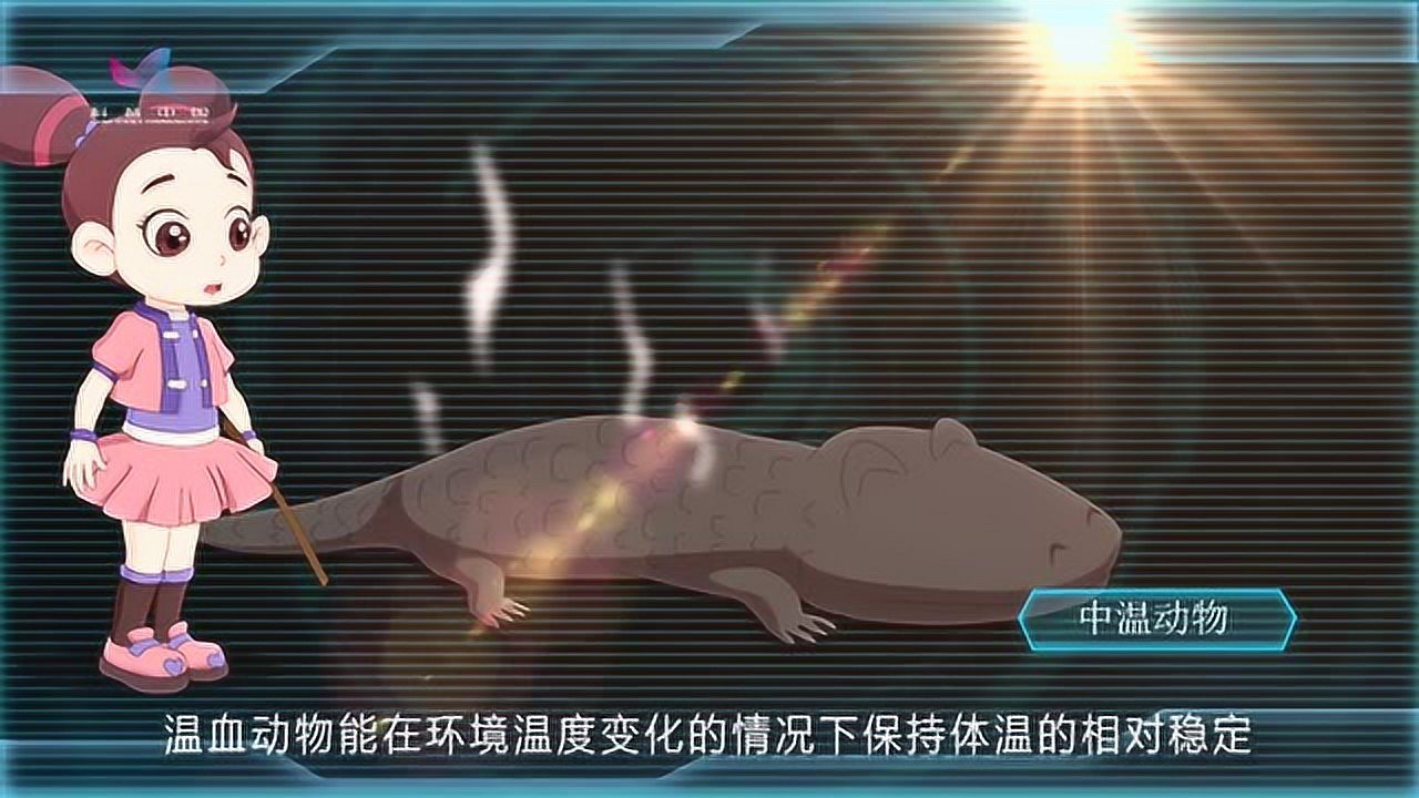 酷杰的科学之旅 第6季：恐龙大作战 1集