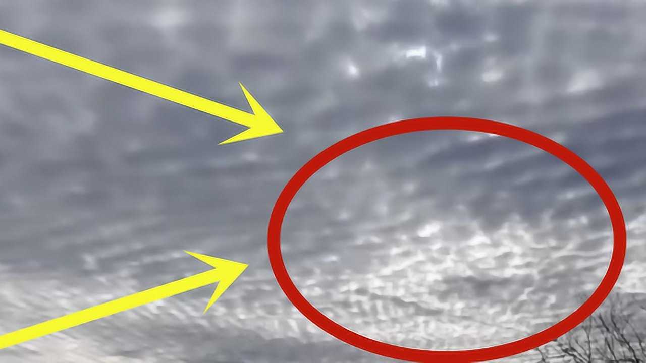 汶川地震前十几个小时天空出现了壮观的鱼鳞云真是太漂亮了