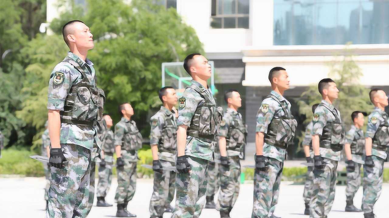 捕俘刀视频动作